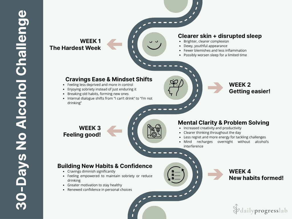 "Flowchart titled 'Should You Try a 30-Day No Alcohol Challenge?' guides readers through questions like how often they drink, how alcohol affects their energy or clarity, and whether they’re curious about benefits like weight loss or improved focus. Ends with gentle encouragement based on answers.