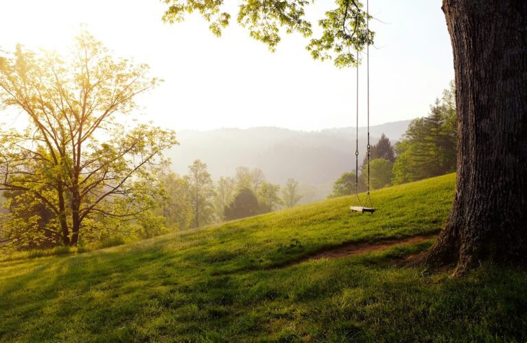 Empty wooden swing at sunrise in a quiet field, symbolizing loss, reflection, and the gentle hope of a new day.