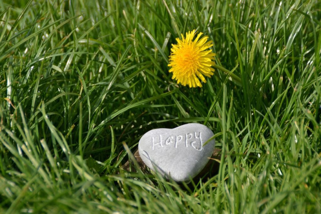 small rock with the words "happy" on it in a bed of grass, symbolizing the way in which we can truly hardwire ourselves for happiness