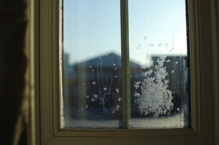 Soft winter light through a window with frost on the glass, capturing a quiet moment of stillness.
